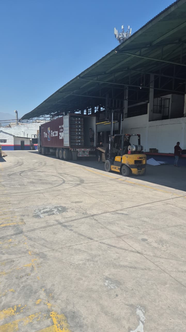 Paletizado San Joaquín